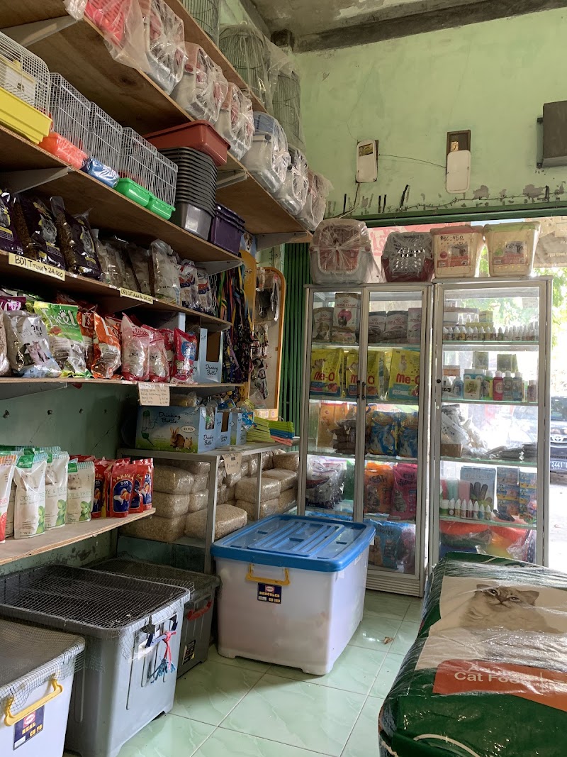 Petshop di Bandar Lampung-Planet Petshop /Tidak jual kucing dan Anjing