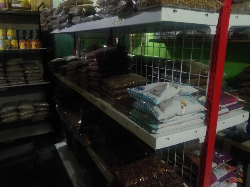 Petshop di Madiun-PET SHOP KALIKO [dokter hewan]