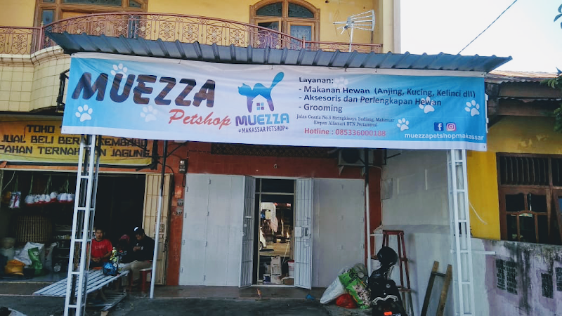 Petshop di Makassar-BeePetMart Petshop Goaria [Muezza]