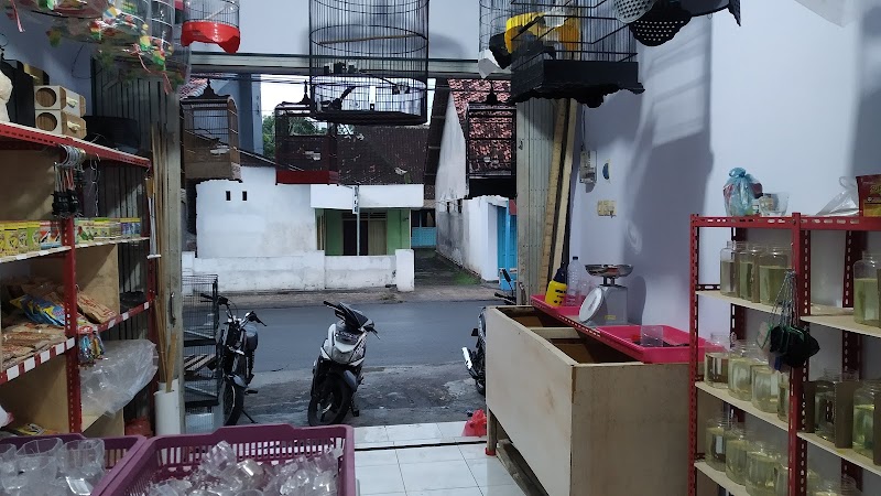 Petshop di Probolinggo-Abc