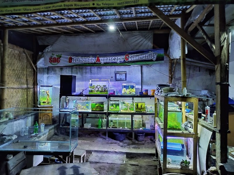 Petshop di Situbondo-SAC Aquatic