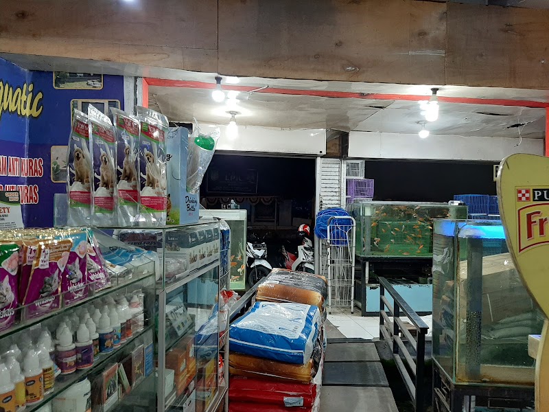 Petshop di Situbondo-Sherena Aquatic & Pet Shop