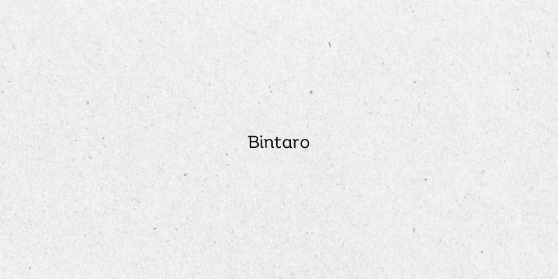 Bintaro