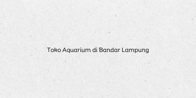 Toko Aquarium di Bandar Lampung