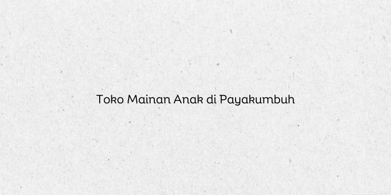 Toko Mainan Anak di Payakumbuh